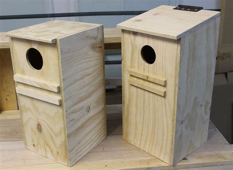 metal nest box parrots|lorikeet nesting box plans.